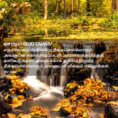 Picture 02 - ஏசாயா 66:10 TAMIRV - எருசலேமை - Bible Verse Picture
