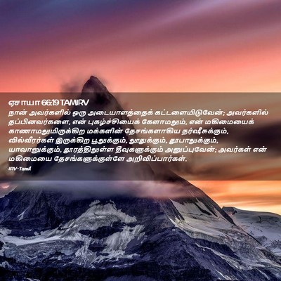 Picture 02 - ஏசாயா 66:19 TAMIRV - நான் அவர்களில் - Bible Verse Picture