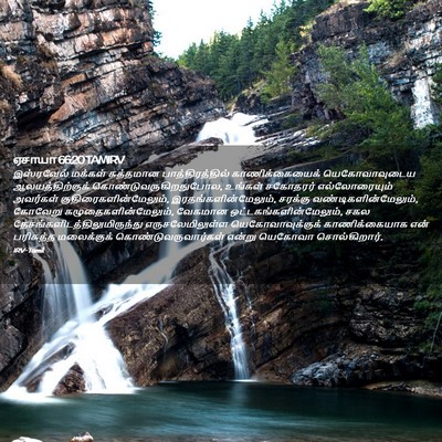 Picture 02 - ஏசாயா 66:20 TAMIRV - இஸ்ரவேல் மக்கள் - Bible Verse Picture