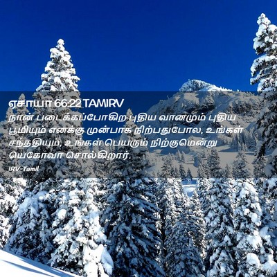 Picture 02 - ஏசாயா 66:22 TAMIRV - நான் - Bible Verse Picture