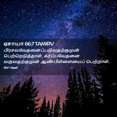 Picture 02 - ஏசாயா 66:7 TAMIRV -  - Bible Verse Picture