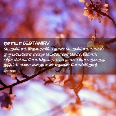 Picture 02 - ஏசாயா 66:9 TAMIRV -  - Bible Verse Picture