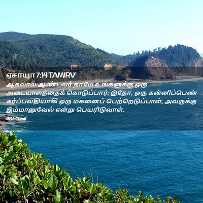 Picture 02 - ஏசாயா 7:14 TAMIRV - ஆதலால் ஆண்டவர் - Bible Verse Picture