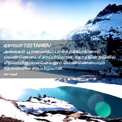 Picture 02 - ஏசாயா 7:22 TAMIRV - அவைகள் பூரணமாகப் - Bible Verse Picture