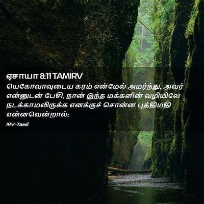 Picture 02 - ஏசாயா 8:11 TAMIRV - யெகோவாவுடைய கரம் - Bible Verse Picture