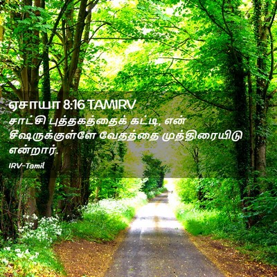 Picture 02 - ஏசாயா 8:16 TAMIRV - சாட்சி - Bible Verse Picture