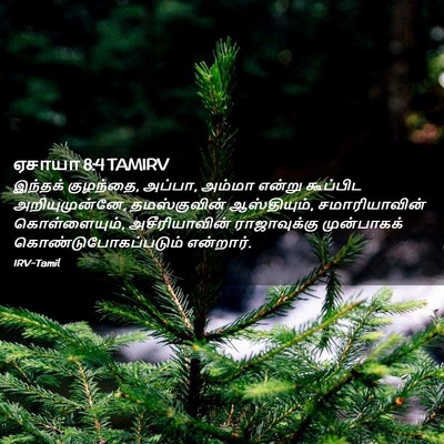 Picture 02 - ஏசாயா 8:4 TAMIRV - இந்தக் குழந்தை, - Bible Verse Picture