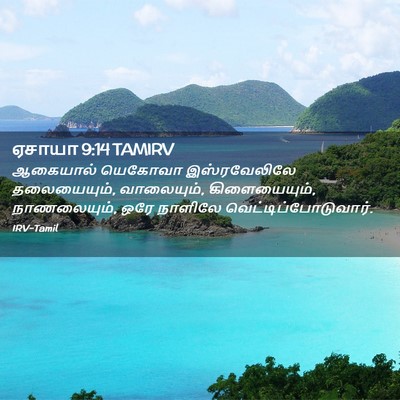 Picture 02 - ஏசாயா 9:14 TAMIRV - ஆகையால் யெகோவா - Bible Verse Picture