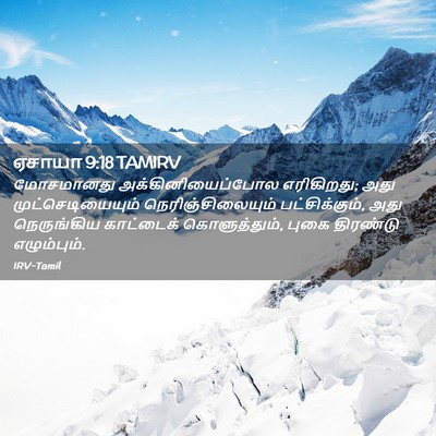 Picture 02 - ஏசாயா 9:18 TAMIRV - மோசமானது - Bible Verse Picture