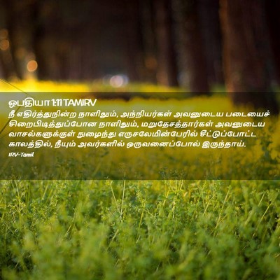 Picture 02 - ஒபதியா 1:11 TAMIRV - நீ எதிர்த்துநின்ற - Bible Verse Picture