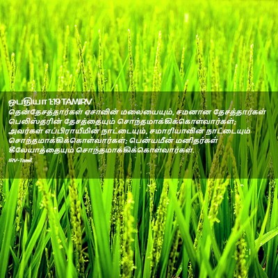 Picture 02 - ஒபதியா 1:19 TAMIRV - தென்தேசத்தார்கள் - Bible Verse Picture