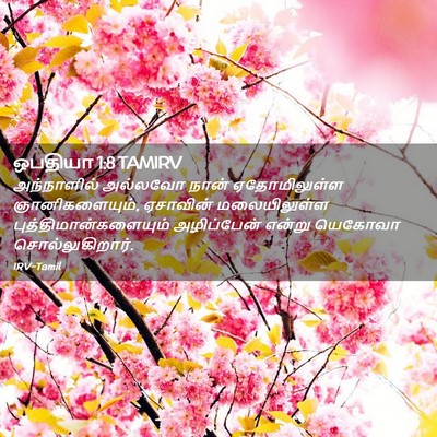 Picture 02 - ஒபதியா 1:8 TAMIRV - அந்நாளில் அல்லவோ - Bible Verse Picture