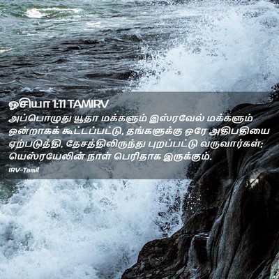Picture 02 - ஓசியா 1:11 TAMIRV - அப்பொழுது யூதா - Bible Verse Picture