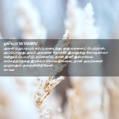 Picture 02 - ஓசியா 1:6 TAMIRV - அவள் மறுபடியும் - Bible Verse Picture