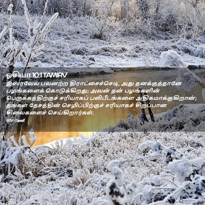 Picture 02 - ஓசியா 10:1 TAMIRV - இஸ்ரவேல் பலனற்ற - Bible Verse Picture