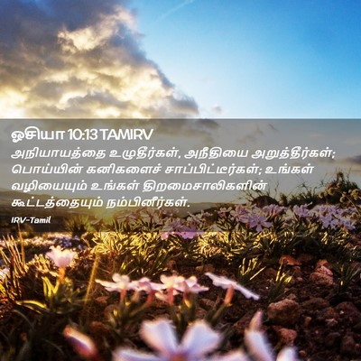 Picture 02 - ஓசியா 10:13 TAMIRV - அநியாயத்தை - Bible Verse Picture