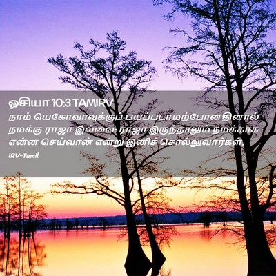 Picture 02 - ஓசியா 10:3 TAMIRV - நாம் - Bible Verse Picture