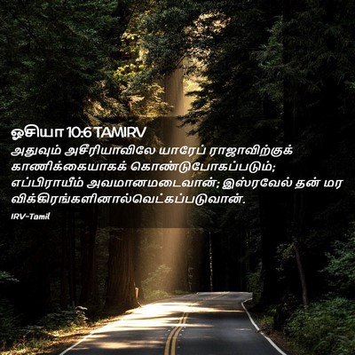 Picture 02 - ஓசியா 10:6 TAMIRV - அதுவும் - Bible Verse Picture
