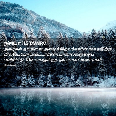 Picture 02 - ஓசியா 11:2 TAMIRV - அவர்கள் தங்களை - Bible Verse Picture