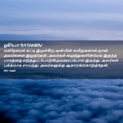 Picture 02 - ஓசியா 11:4 TAMIRV - மனிதரைக் கட்டி - Bible Verse Picture