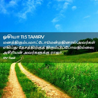 Picture 02 - ஓசியா 11:5 TAMIRV -  - Bible Verse Picture