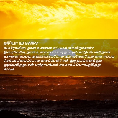 Picture 02 - ஓசியா 11:8 TAMIRV - எப்பிராயீமே, நான் - Bible Verse Picture