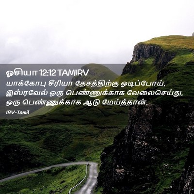 Picture 02 - ஓசியா 12:12 TAMIRV - யாக்கோபு சீரியா - Bible Verse Picture