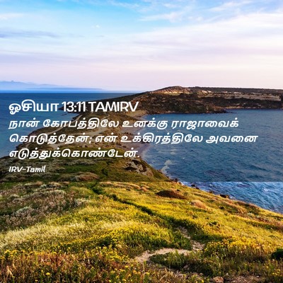 Picture 02 - ஓசியா 13:11 TAMIRV - நான் கோபத்திலே - Bible Verse Picture
