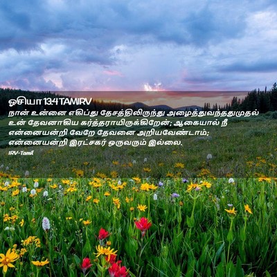 Picture 02 - ஓசியா 13:4 TAMIRV - நான் உன்னை - Bible Verse Picture