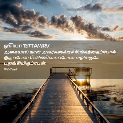 Picture 02 - ஓசியா 13:7 TAMIRV - ஆகையால் நான் - Bible Verse Picture