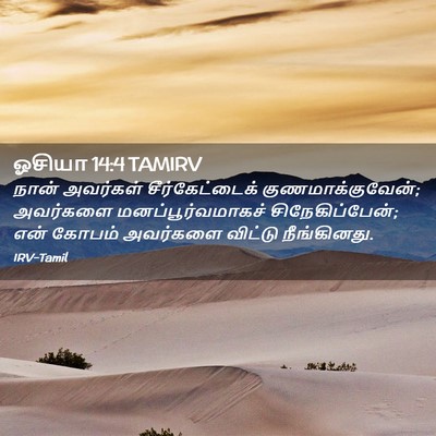 Picture 02 - ஓசியா 14:4 TAMIRV - நான் அவர்கள் - Bible Verse Picture