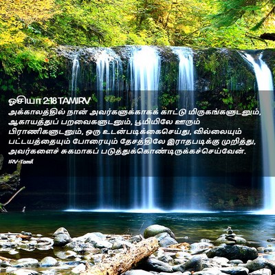 Picture 02 - ஓசியா 2:18 TAMIRV - அக்காலத்தில் நான் - Bible Verse Picture