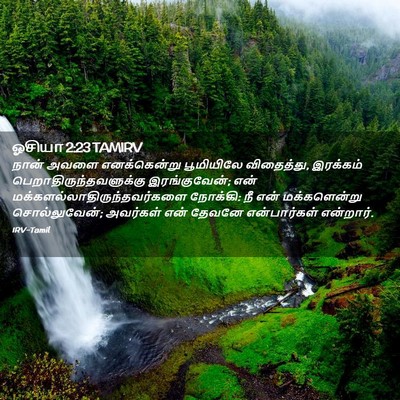 Picture 02 - ஓசியா 2:23 TAMIRV - நான் அவளை - Bible Verse Picture