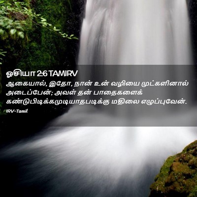 Picture 02 - ஓசியா 2:6 TAMIRV - ஆகையால், இதோ, நான் - Bible Verse Picture