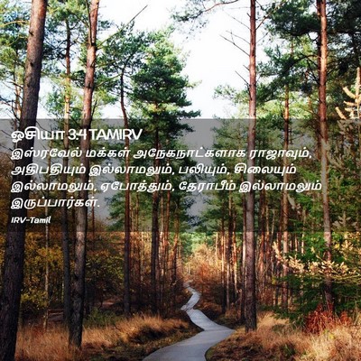 Picture 02 - ஓசியா 3:4 TAMIRV - இஸ்ரவேல் மக்கள் - Bible Verse Picture