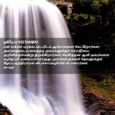 Picture 02 - ஓசியா 4:12 TAMIRV - என் மக்கள் - Bible Verse Picture