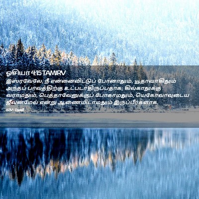 Picture 02 - ஓசியா 4:15 TAMIRV - இஸ்ரவேலே, நீ - Bible Verse Picture