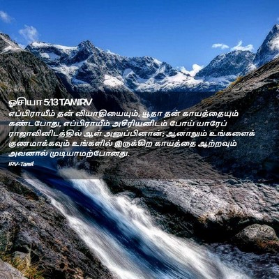 Picture 02 - ஓசியா 5:13 TAMIRV - எப்பிராயீம் தன் - Bible Verse Picture