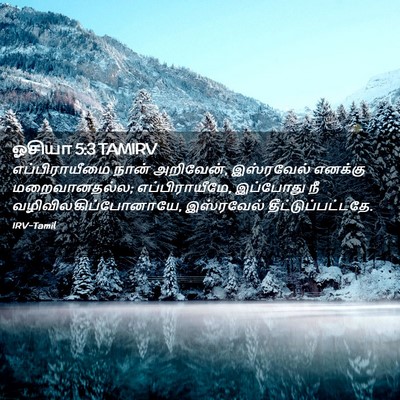 Picture 02 - ஓசியா 5:3 TAMIRV - எப்பிராயீமை நான் - Bible Verse Picture