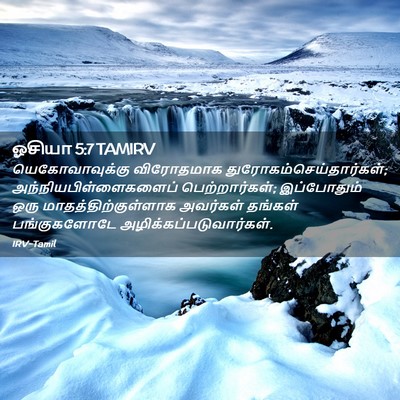 Picture 02 - ஓசியா 5:7 TAMIRV - யெகோவாவுக்கு - Bible Verse Picture