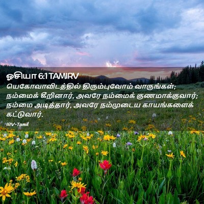Picture 02 - ஓசியா 6:1 TAMIRV - யெகோவாவிடத்தில் - Bible Verse Picture