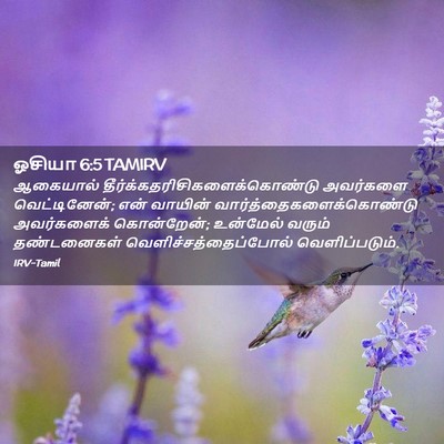 Picture 02 - ஓசியா 6:5 TAMIRV - ஆகையால் - Bible Verse Picture