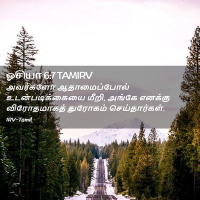Picture 02 - ஓசியா 6:7 TAMIRV - அவர்களோ - Bible Verse Picture