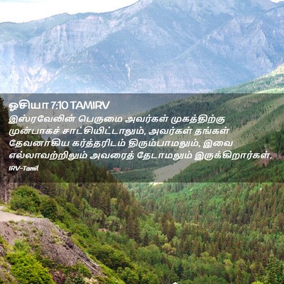 Picture 02 - ஓசியா 7:10 TAMIRV - இஸ்ரவேலின் பெருமை - Bible Verse Picture