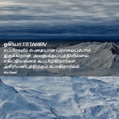 Picture 02 - ஓசியா 7:11 TAMIRV - எப்பிராயீம் - Bible Verse Picture