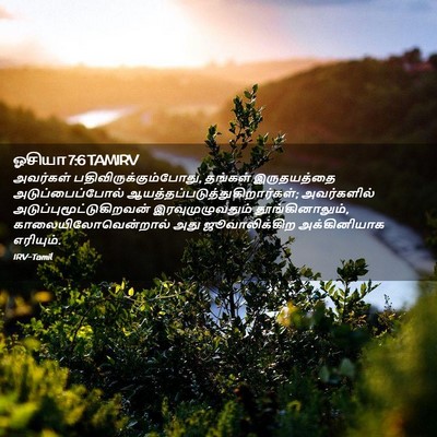 Picture 02 - ஓசியா 7:6 TAMIRV - அவர்கள் - Bible Verse Picture