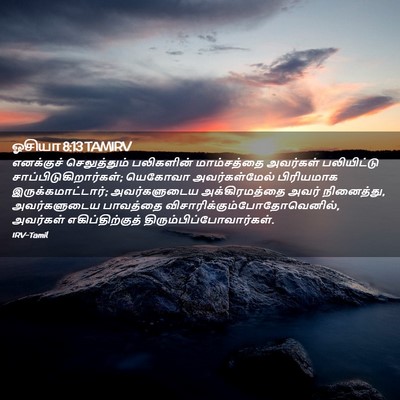 Picture 02 - ஓசியா 8:13 TAMIRV - எனக்குச் - Bible Verse Picture