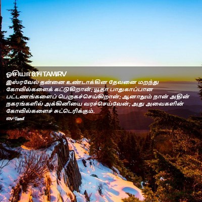 Picture 02 - ஓசியா 8:14 TAMIRV - இஸ்ரவேல் தன்னை - Bible Verse Picture