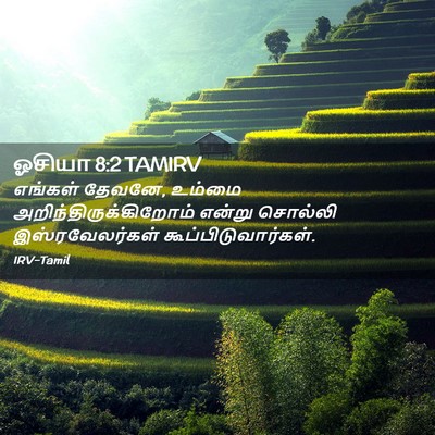 Picture 02 - ஓசியா 8:2 TAMIRV - எங்கள் தேவனே, - Bible Verse Picture