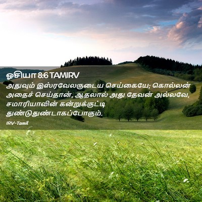 Picture 02 - ஓசியா 8:6 TAMIRV - அதுவும் - Bible Verse Picture